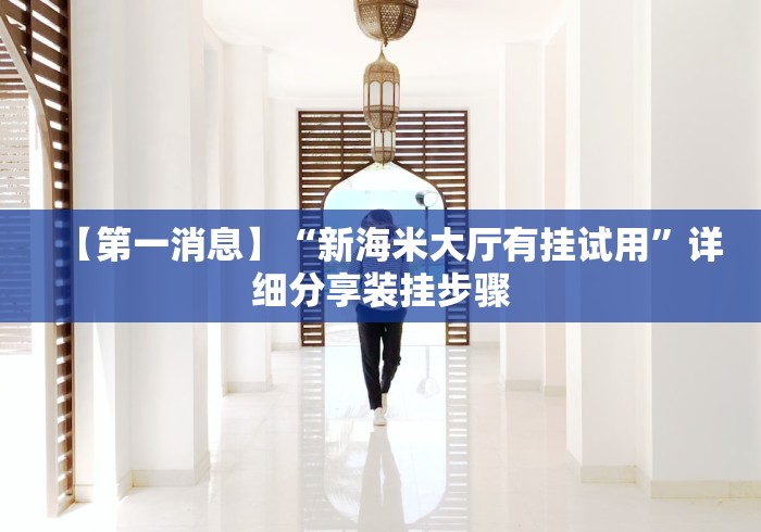 【第一消息】“新海米大厅有挂试用”详细分享装挂步骤