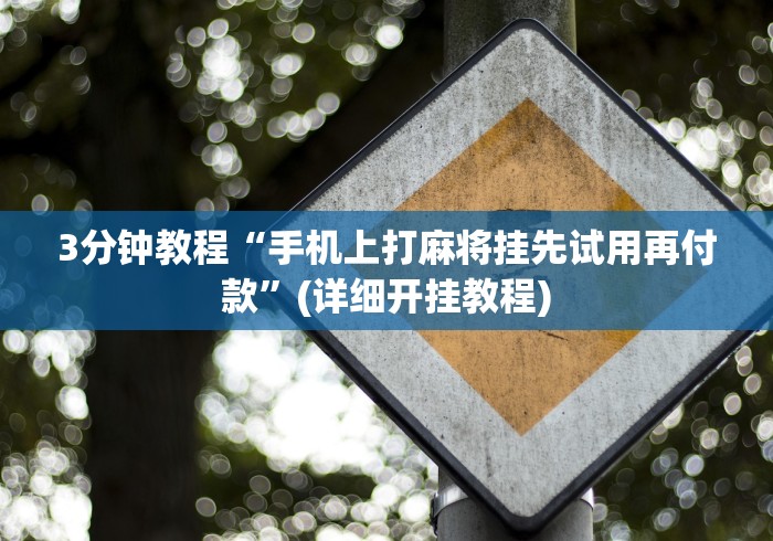 3分钟教程“手机上打麻将挂先试用再付款”(详细开挂教程)