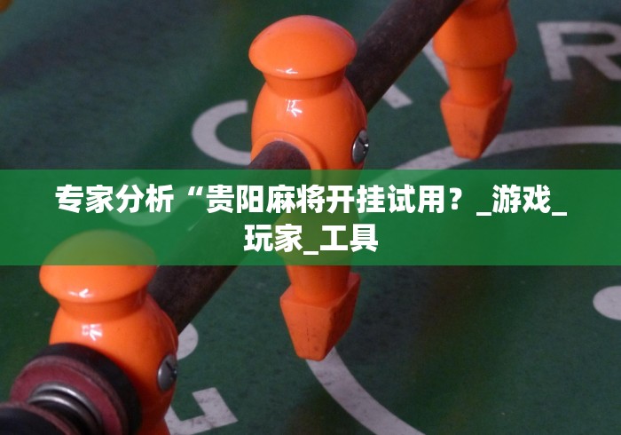 专家分析“贵阳麻将开挂试用？_游戏_玩家_工具