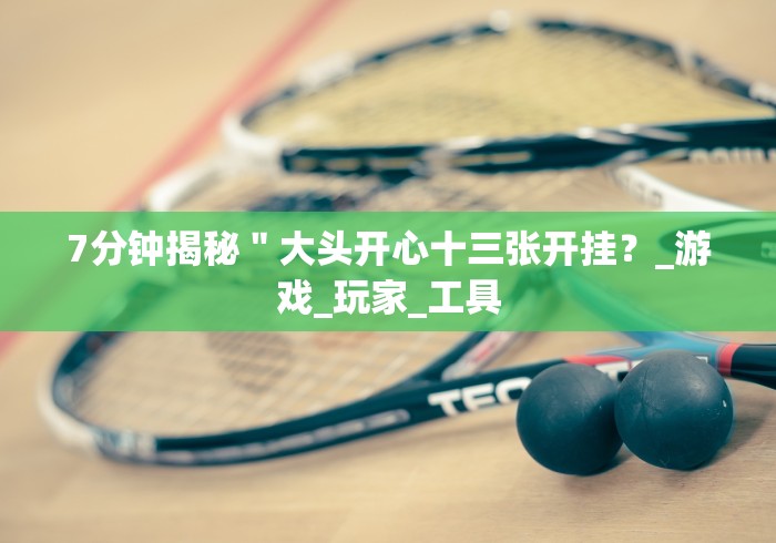 7分钟揭秘"大头开心十三张开挂?_游戏_玩家_工具 7分钟揭秘"大头开心十三张开挂?_游戏_玩家_工具