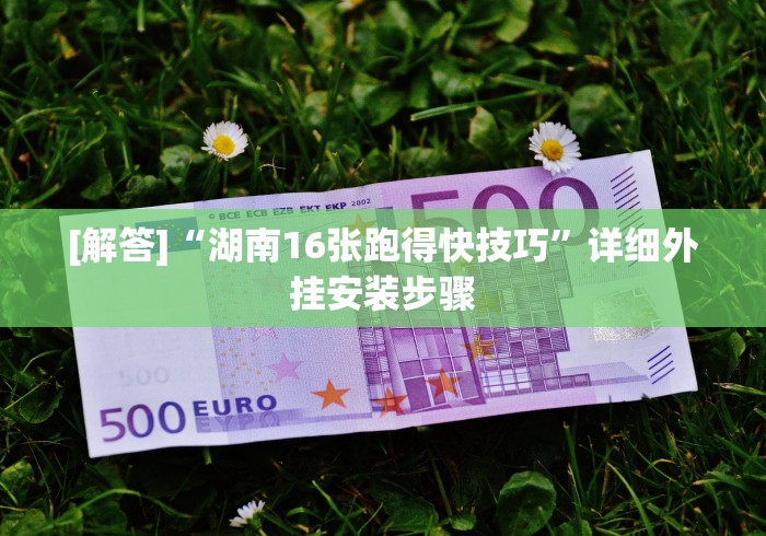[解答]“湖南16张跑得快技巧”详细外挂安装步骤