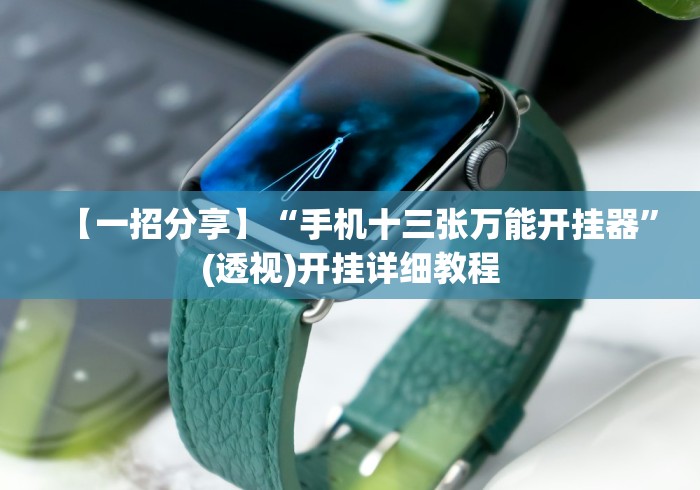 【一招分享】“手机十三张万能开挂器”(透视)开挂详细教程 【一招分享】“手机十三张万能开挂器”(透视)开挂详细教程