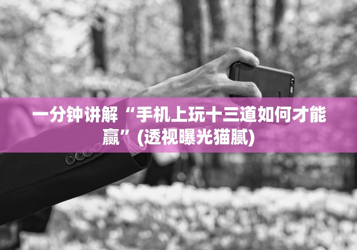 一分钟讲解“手机上玩十三道如何才能赢”(透视曝光猫腻)
