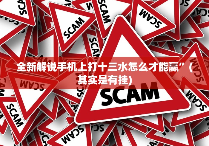 全新解说手机上打十三水怎么才能赢”(其实是有挂)