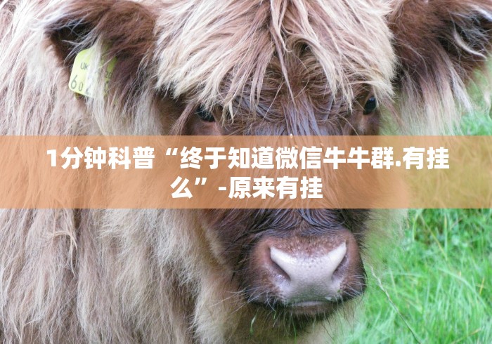 1分钟科普“终于知道微信牛牛群.有挂么”-原来有挂