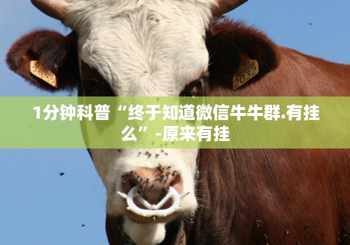 1分钟科普“终于知道微信牛牛群.有挂么”-原来有挂