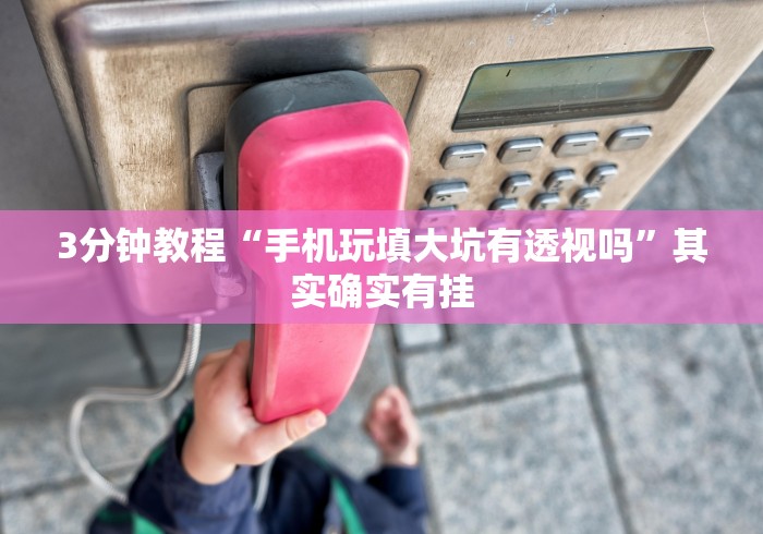 3分钟教程“手机玩填大坑有透视吗”其实确实有挂