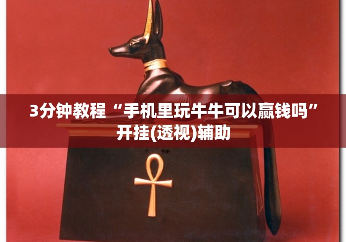 [分享]“大头十三水可以开挂吗”事实上真的有挂