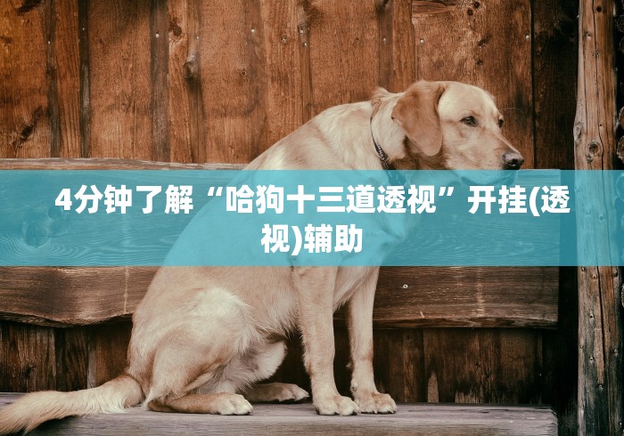 4分钟了解“哈狗十三道透视”开挂(透视)辅助