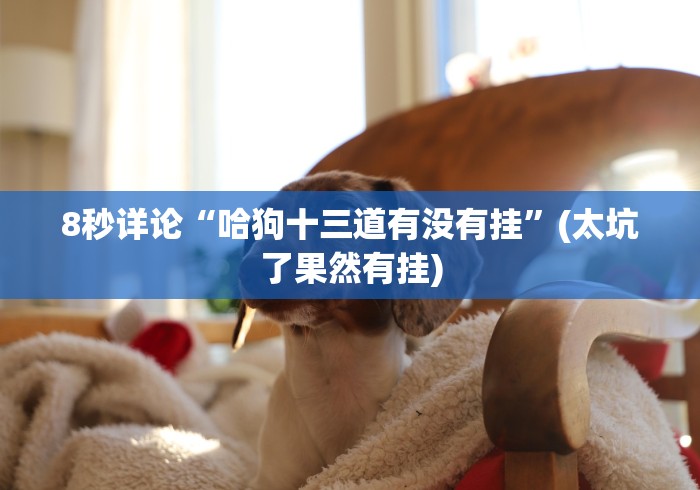 8秒详论“哈狗十三道有没有挂”(太坑了果然有挂)