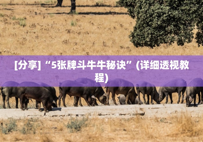 [分享]“5张牌斗牛牛秘诀”(详细透视教程)