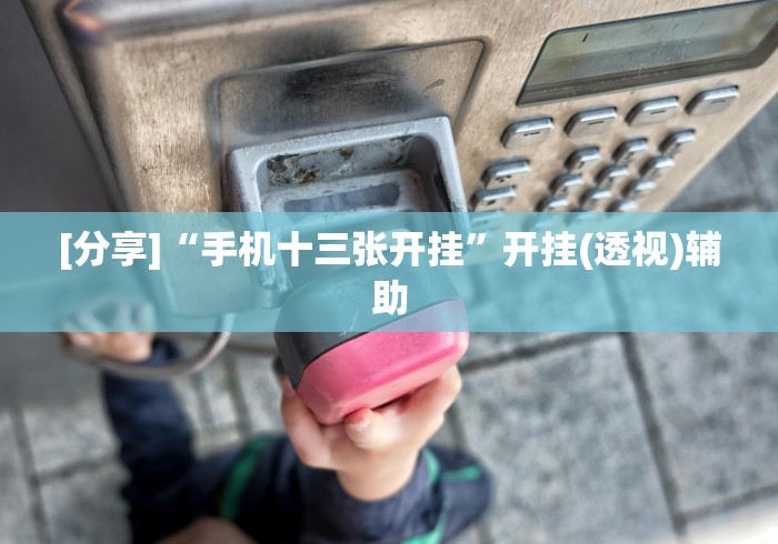 [分享]“手机十三张开挂”开挂(透视)辅助