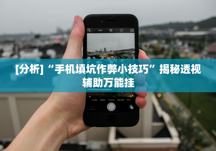 [分析]“手机填坑作弊小技巧”揭秘透视辅助万能挂