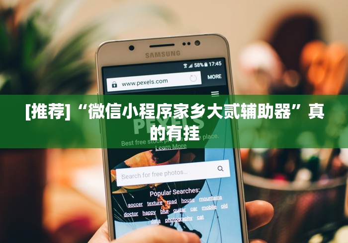 [推荐]“微信小程序家乡大贰辅助器”真的有挂