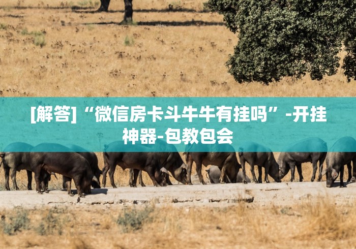 [解答]“微信房卡斗牛牛有挂吗”-开挂神器-包教包会