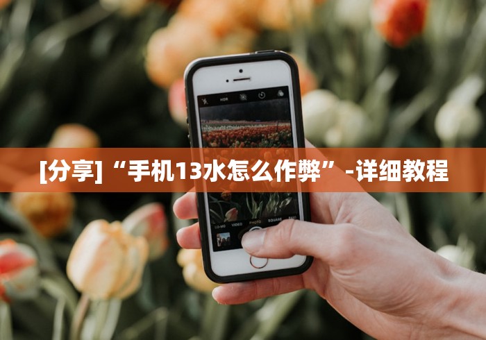 [分享]“手机13水怎么作弊”-详细教程