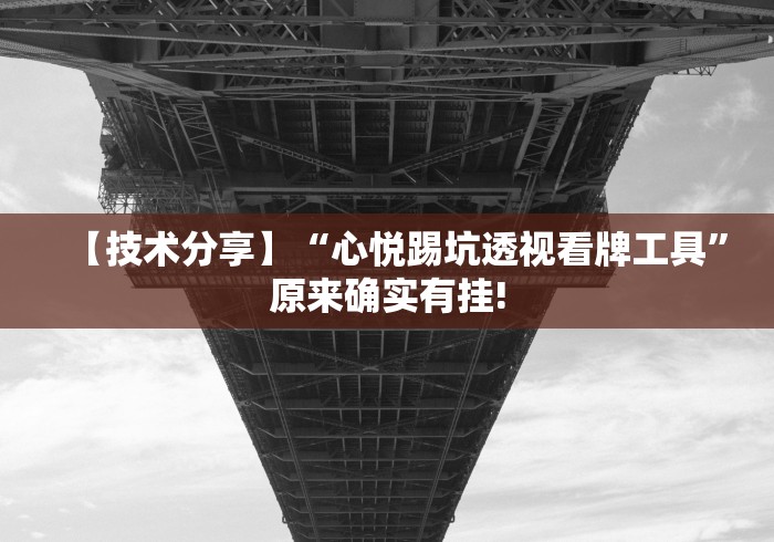 【技术分享】“心悦踢坑透视看牌工具”原来确实有挂!