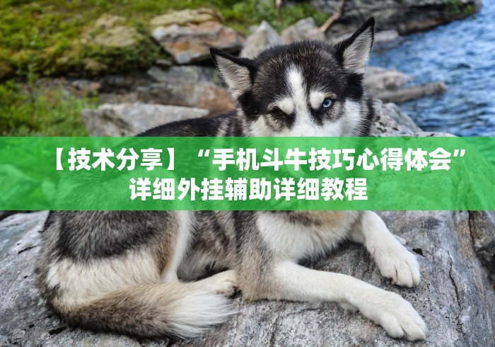 【技术分享】“手机斗牛技巧心得体会”详细外挂辅助详细教程