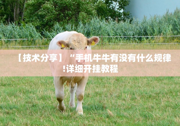 【技术分享】“手机牛牛有没有什么规律!详细开挂教程 【技术分享】“手机牛牛有没有什么规律!详细开挂教程