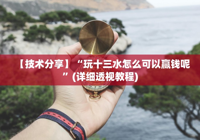 【技术分享】“玩十三水怎么可以赢钱呢”(详细透视教程)