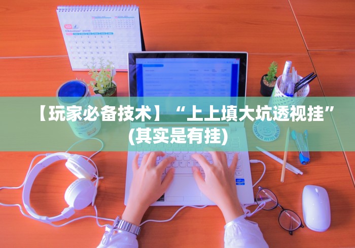 【玩家必备技术】“上上填大坑透视挂”(其实是有挂)