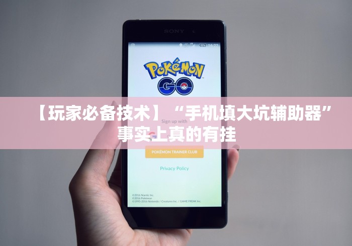 【玩家必备技术】“手机填大坑辅助器”事实上真的有挂 【玩家必备技术】“手机填大坑辅助器”事实上真的有挂