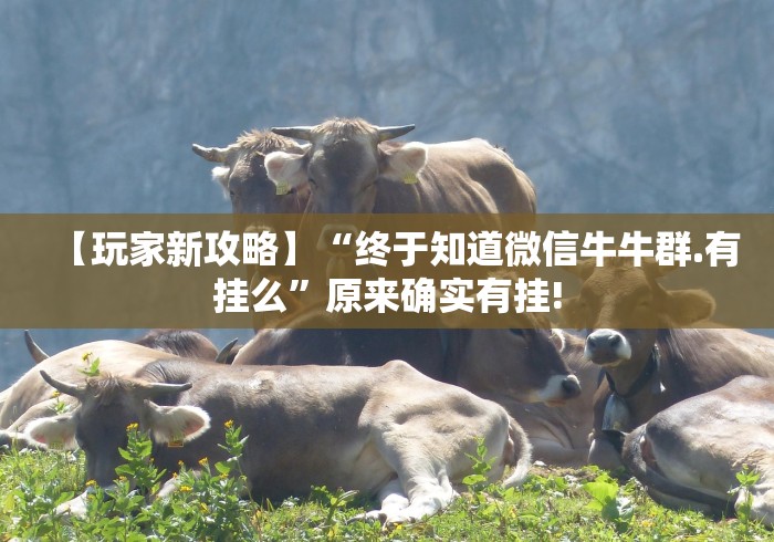 【玩家新攻略】“终于知道微信牛牛群.有挂么”原来确实有挂!