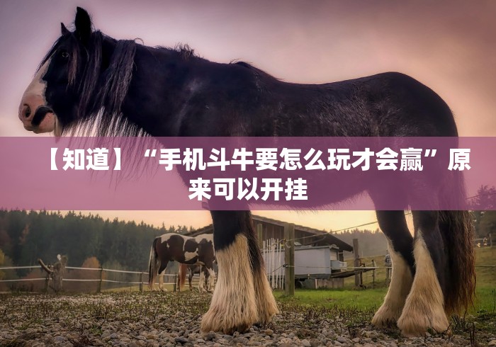 【知道】“手机斗牛要怎么玩才会赢”原来可以开挂 【知道】“手机斗牛要怎么玩才会赢”原来可以开挂