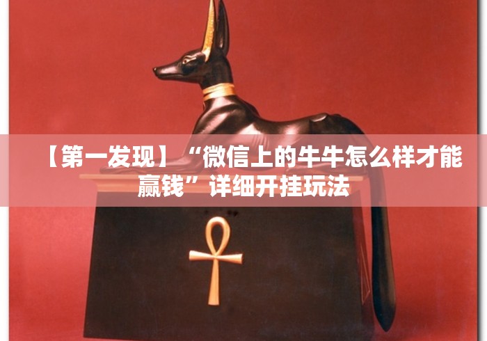 【第一发现】“微信上的牛牛怎么样才能赢钱”详细开挂玩法