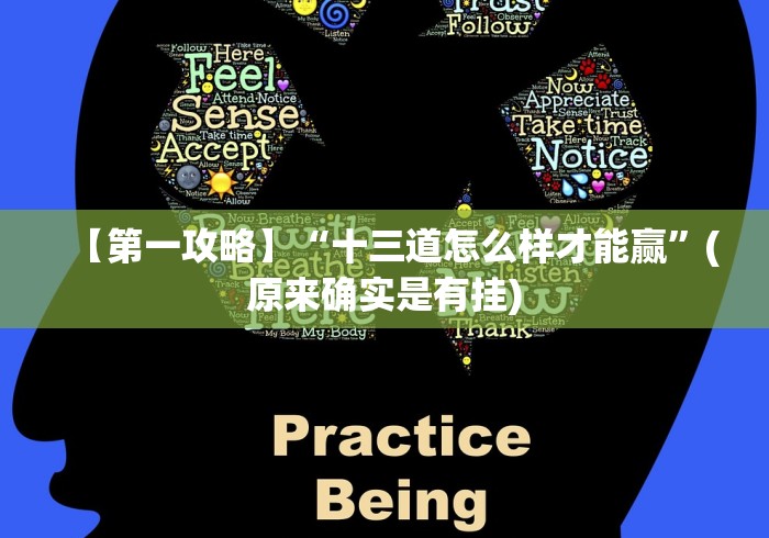 【第一攻略】“十三道怎么样才能赢”(原来确实是有挂) 【第一攻略】“十三道怎么样才能赢”(原来确实是有挂)