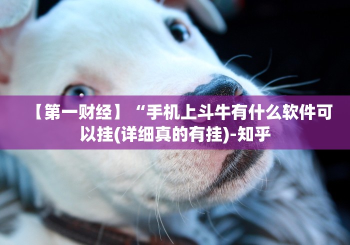 【第一财经】“手机上斗牛有什么软件可以挂(详细真的有挂)-知乎