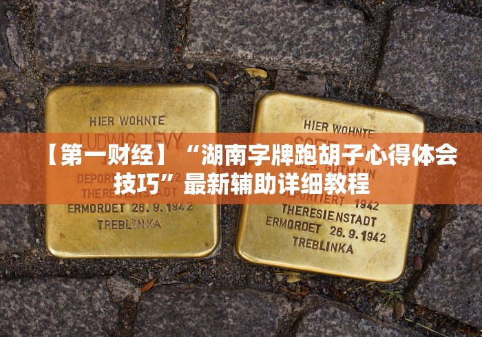 【第一财经】“湖南字牌跑胡子心得体会技巧”最新辅助详细教程