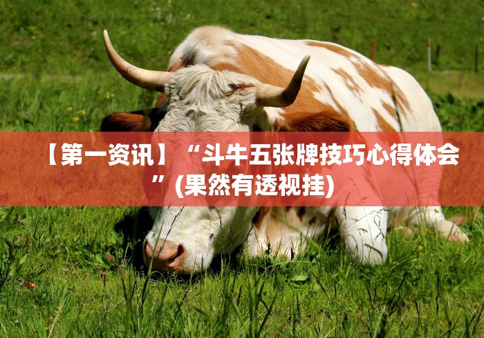 【第一资讯】“斗牛五张牌技巧心得体会”(果然有透视挂)