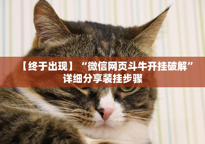 【终于出现】“微信网页斗牛开挂破解”详细分享装挂步骤 【终于出现】“微信网页斗牛开挂破解”详细分享装挂步骤