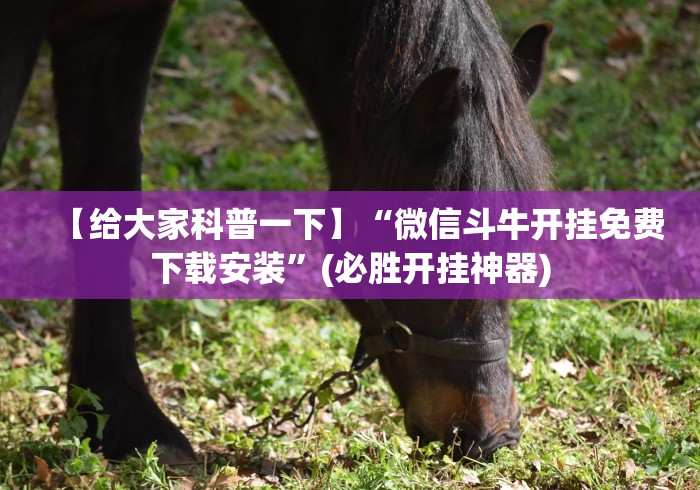 【给大家科普一下】“微信斗牛开挂免费下载安装”(必胜开挂神器)