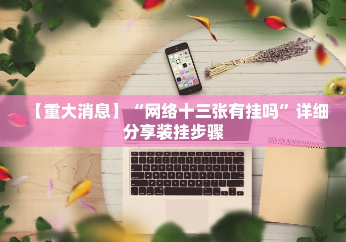 【重大消息】“网络十三张有挂吗”详细分享装挂步骤