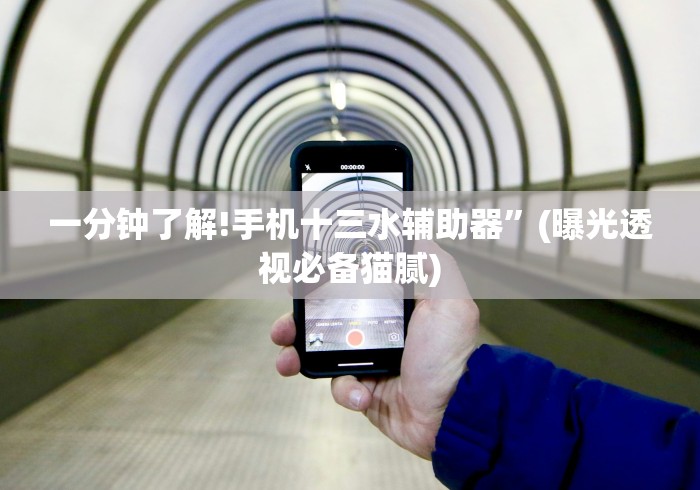 一分钟了解!手机十三水辅助器”(曝光透视必备猫腻)