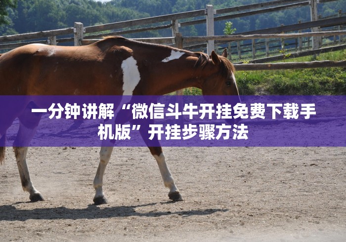 一分钟讲解“微信斗牛开挂免费下载手机版”开挂步骤方法