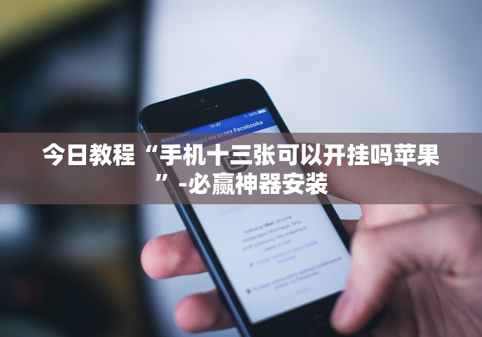 今日教程“手机十三张可以开挂吗苹果”-必赢神器安装