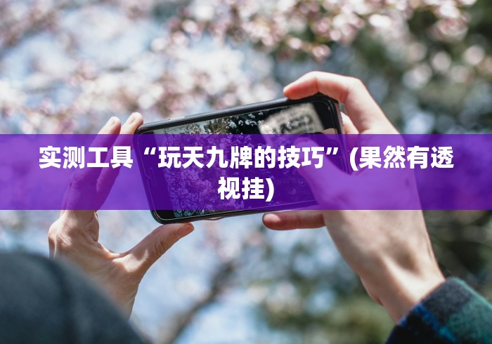 实测工具“玩天九牌的技巧”(果然有透视挂)