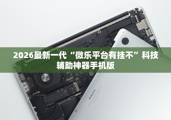 2026最新一代“微乐平台有挂不”科技辅助神器手机版