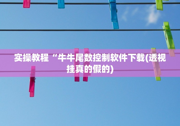 实操教程“牛牛尾数控制软件下载(透视挂真的假的)