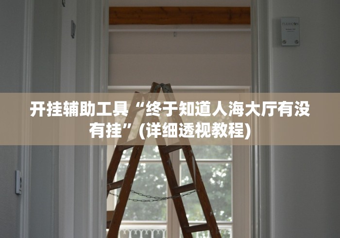 开挂辅助工具“终于知道人海大厅有没有挂”(详细透视教程)