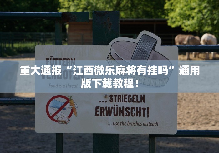 重大通报“江西微乐麻将有挂吗”通用版下载教程！