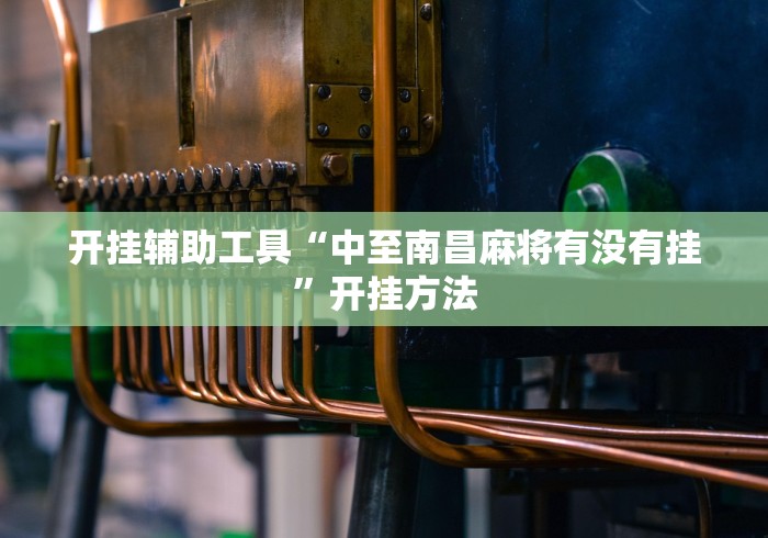 开挂辅助工具“中至南昌麻将有没有挂”开挂方法