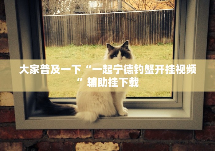 大家普及一下“一起宁德钓蟹开挂视频”辅助挂下载