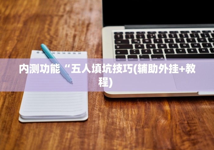 内测功能“五人填坑技巧(辅助外挂+教程) 