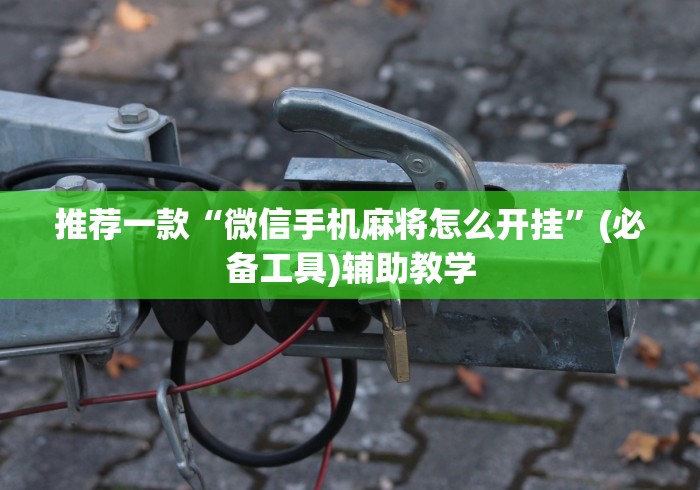 推荐一款“微信手机麻将怎么开挂”(必备工具)辅助教学