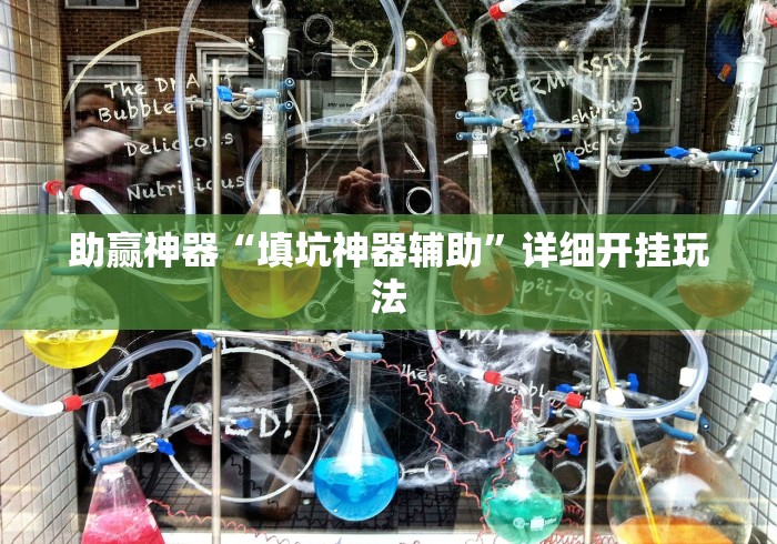 助赢神器“填坑神器辅助”详细开挂玩法