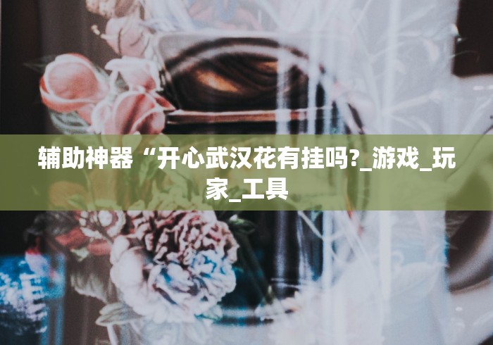 辅助神器“开心武汉花有挂吗?_游戏_玩家_工具
